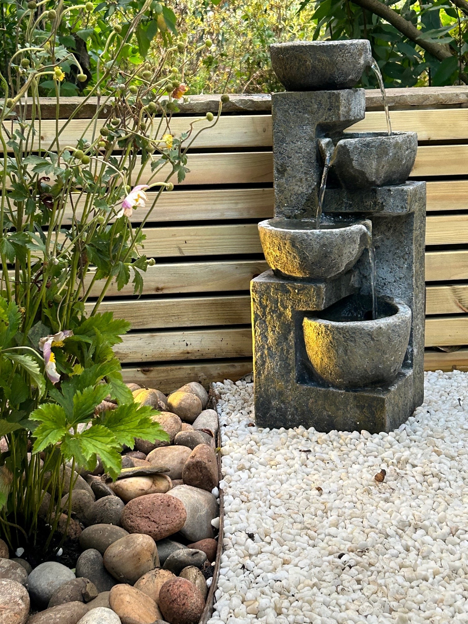 Japanese garden 3
